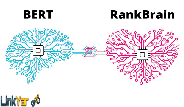 تفاوت الگوریتم رنک برین و الگوریتم برت